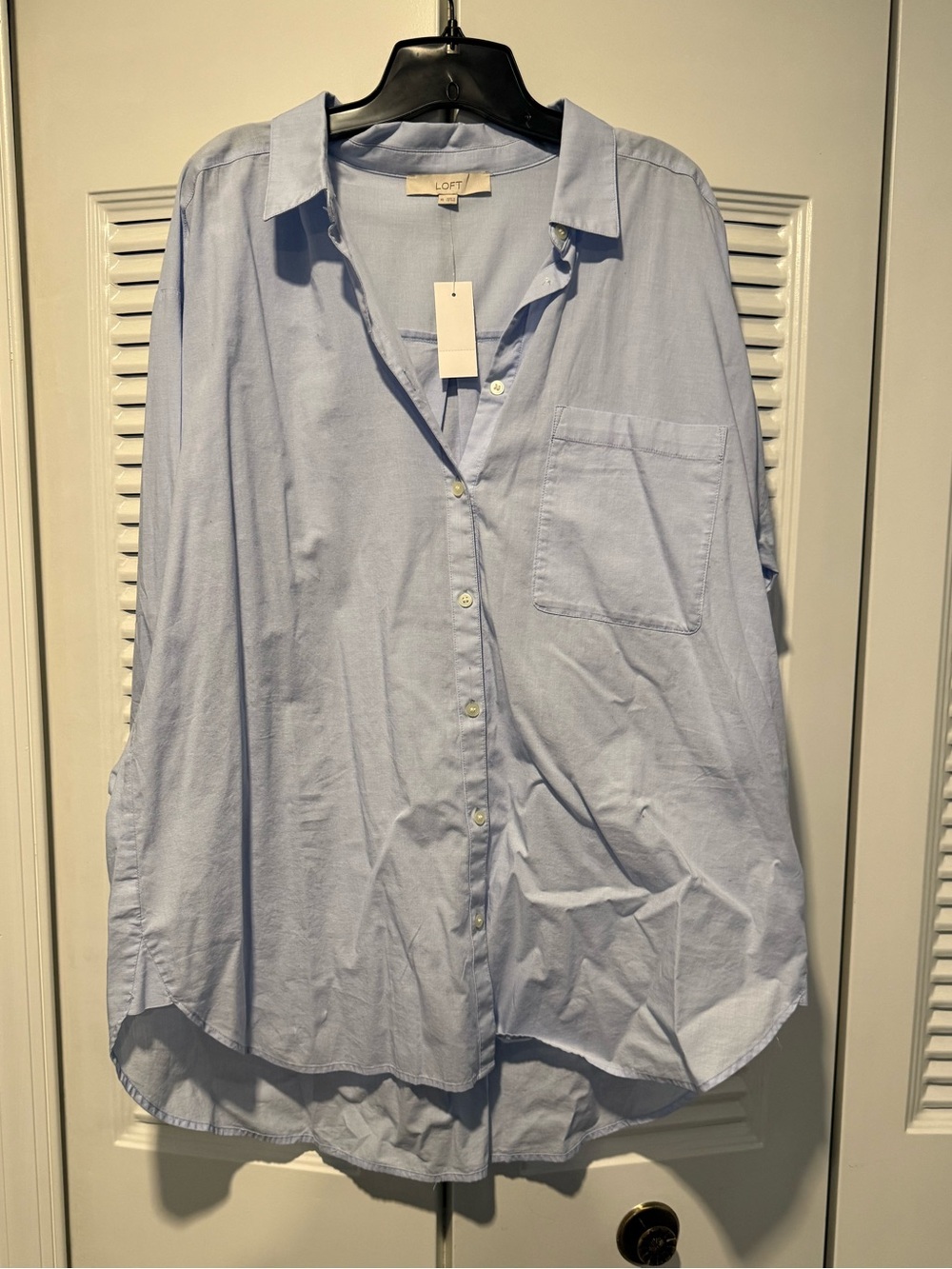 LOFT Pale Blue Women's Button-Down Shirt
